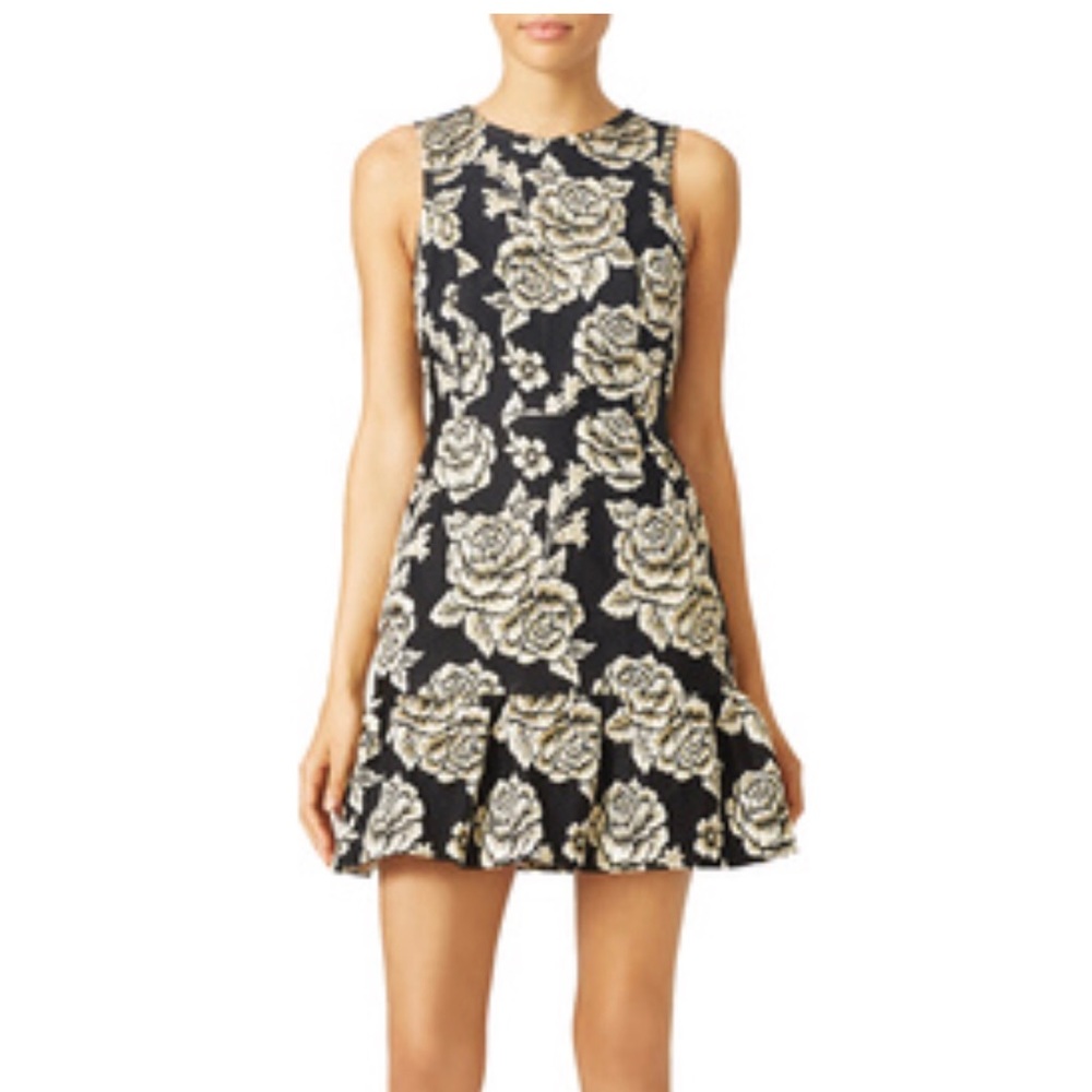 Cynthia Steffe English Rose Dress